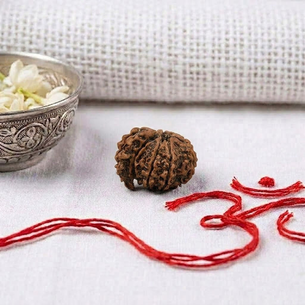 Rudraksha