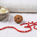 Natural 10 Mukhi Rudraksha | Certified Nepali Bead for Ultimate Protection & Peace