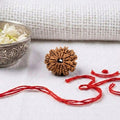 Natural 11 Mukhi Rudraksha | Certified Nepali Bead for Courage, Strength & Success
