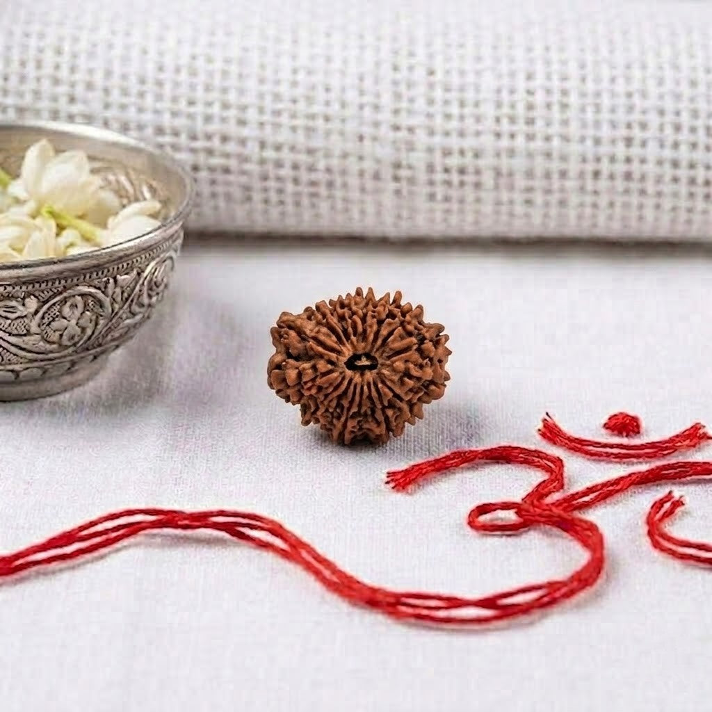 Natural 17 Mukhi Rudraksha | Certified Nepali Bead for Sudden Wealth & Success