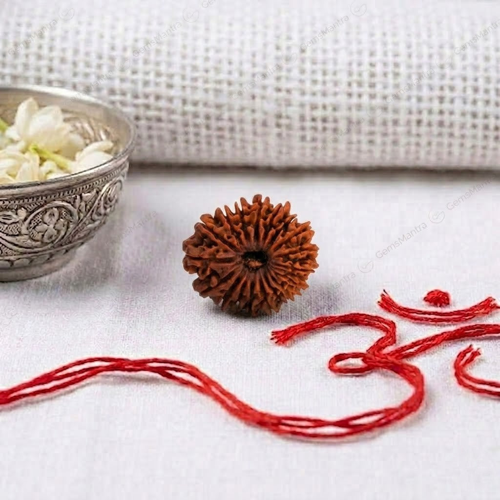 Natural 18 Mukhi Rudraksha | Certified Nepali Bead for Wealth & Real Estate Success