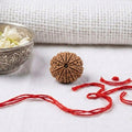 Natural 9 Mukhi Rudraksha | Certified Nepali Bead for Protection, Power & Success
